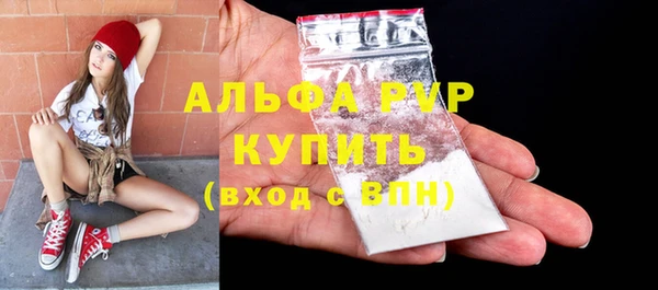 PSILOCYBIN Вяземский