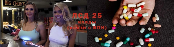 ГАЛЛЮЦИНОГЕННЫЕ ГРИБЫ Вязьма