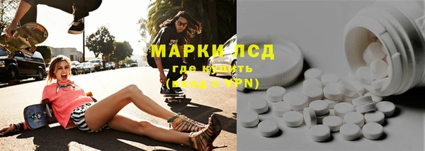 PSILOCYBIN Вяземский