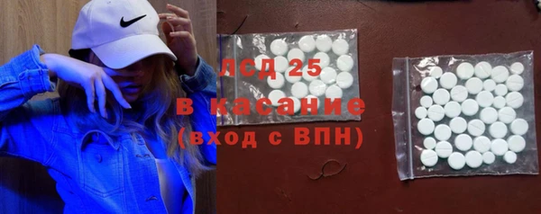 PSILOCYBIN Вяземский