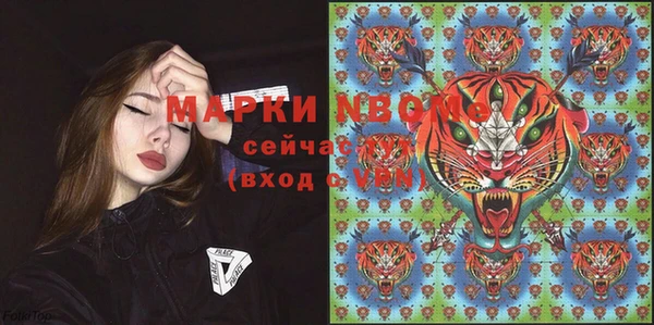 PSILOCYBIN Вяземский