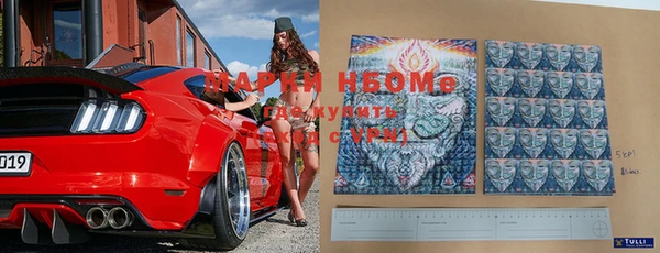 PSILOCYBIN Вяземский