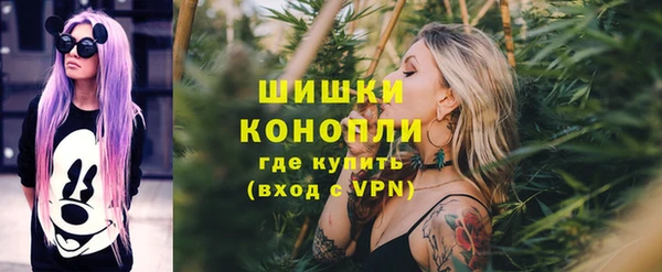 PSILOCYBIN Вяземский