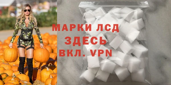 PSILOCYBIN Вяземский