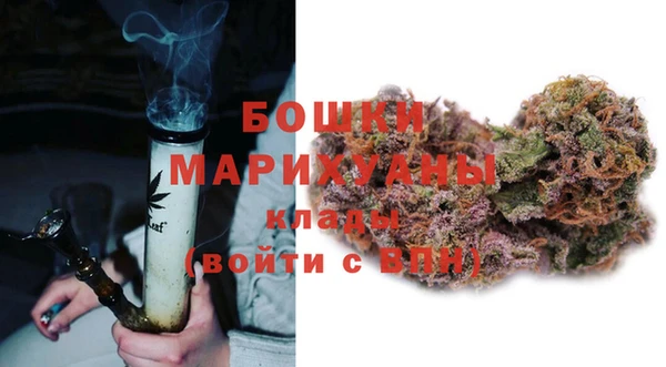 PSILOCYBIN Вяземский