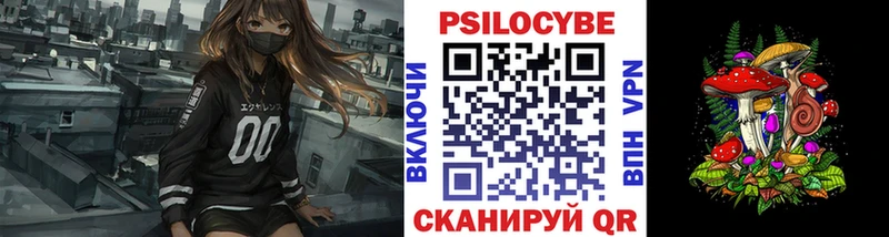 Купить закладки  Сысерть  Псилоцибиновые грибы Magic Shrooms 